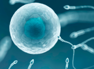 Spermiogram hodnoty - co znamenají